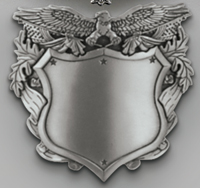 Patriotic Eagle Badge 6107C